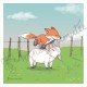 Coupon illustré Saute-Mouton