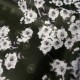 Velours Printemps au Japon kaki