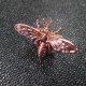 Fermoir Bee tourniquet métal rose