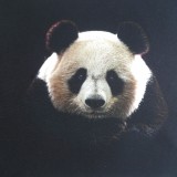 Carré Panda toile