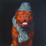 Carré Mister Dog toile