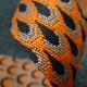 Sangle Paon Orange