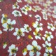 Enduit coton fleurs du Japon rouge