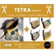 Box complète TETRA Jakarta