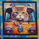 Coton Cat Stars