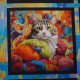 Coton Cat Stars