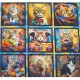 Coton Cat Stars