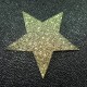 Etoile simili glitter vert