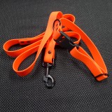 Laisse et collier Atlas