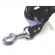 Laisse pour chien TITUS