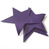 Etoile cuir prune
